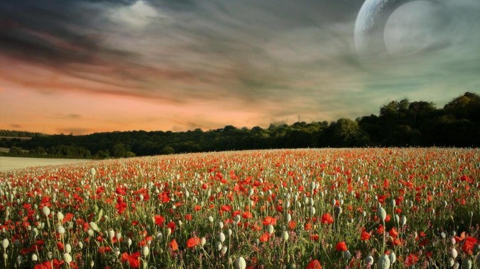 有哪些事情是MacOS做不到但Linux可以做到的？